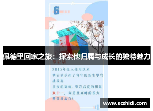 佩德里回家之旅：探索他归属与成长的独特魅力