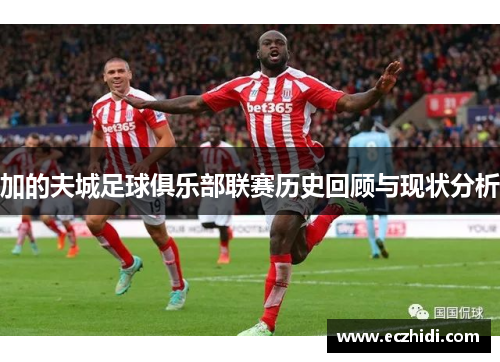 加的夫城足球俱乐部联赛历史回顾与现状分析